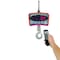 Brecknell CS2000 Crane Scale, 2,000 x 1 lb / 1000 x 0.5 kg w/remote control 816965001811 - alternate 6